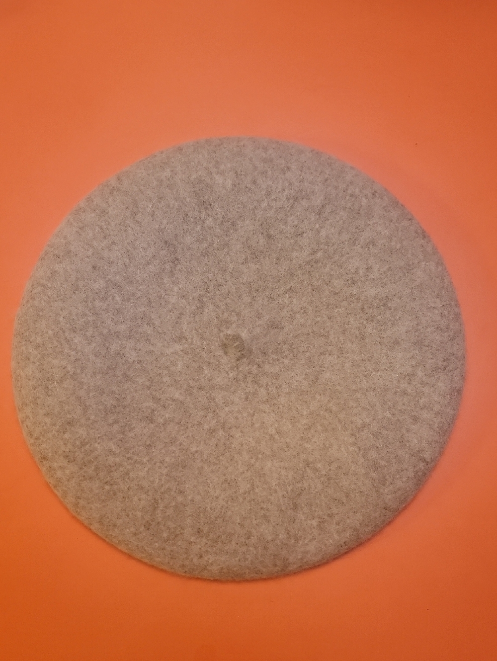 Cute Felted Wool Beret